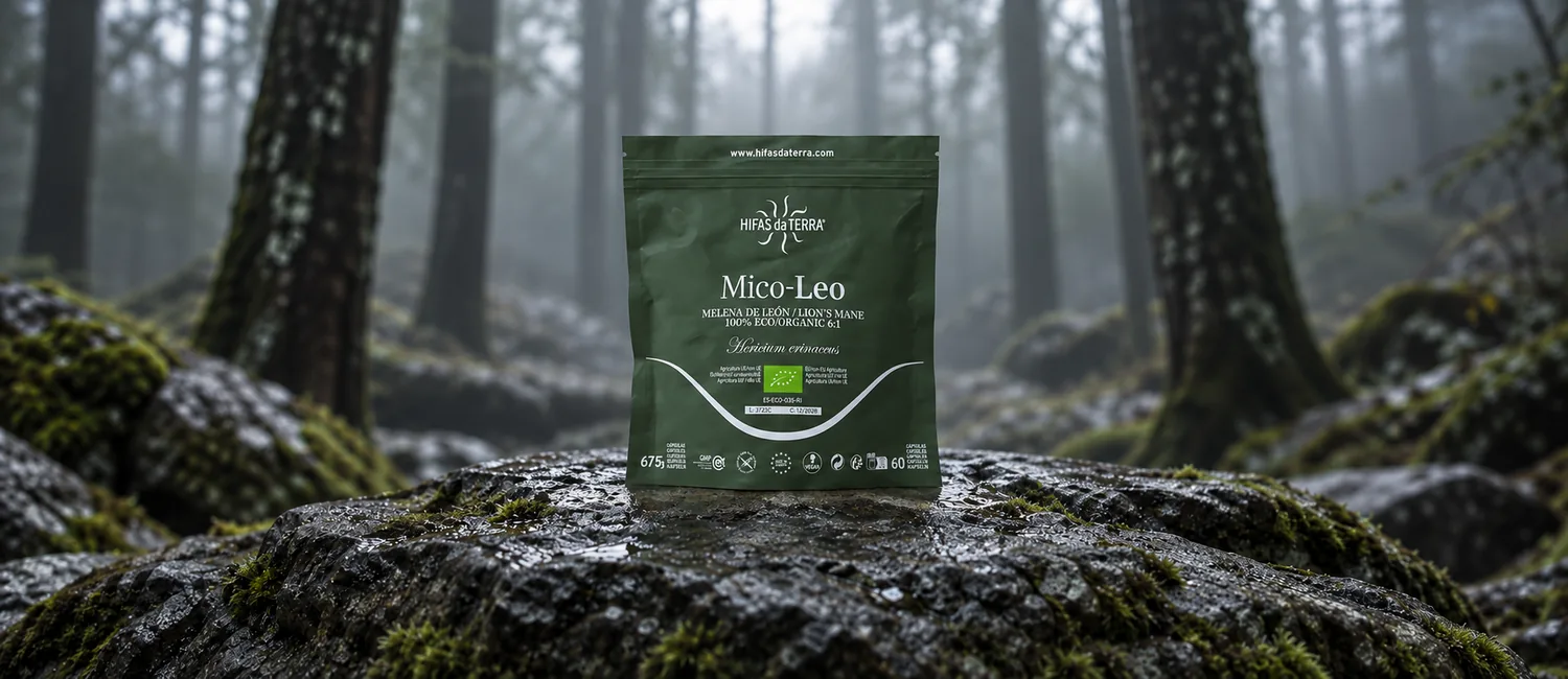 Hifas da Terra melena de león (Mico-Leo): opiniones y alternativas